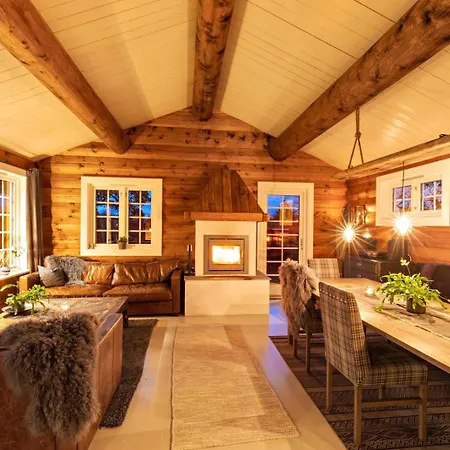 Luxurious And Modern Log Cabin Close To Nature Lislevatn